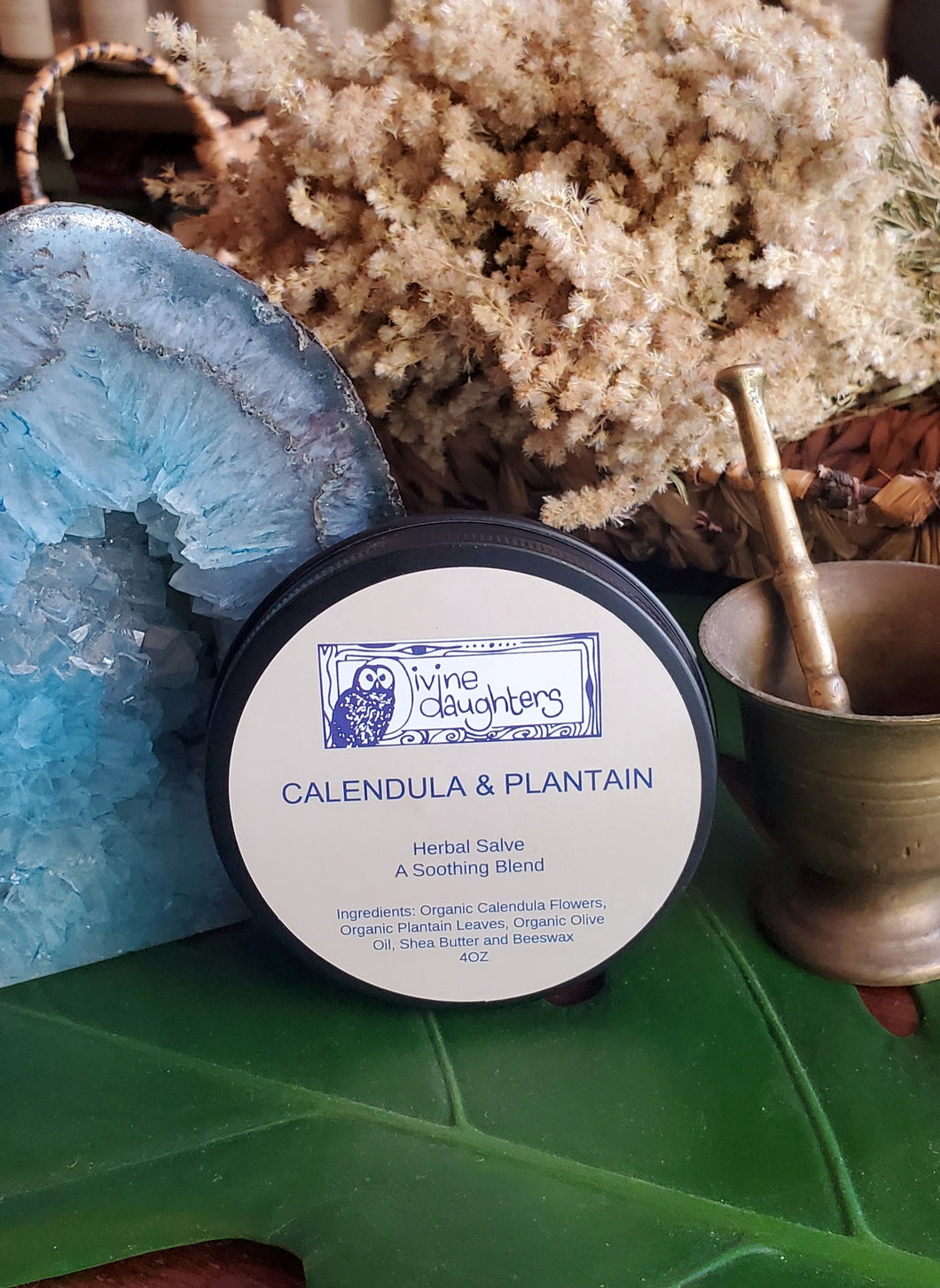 Calendula & Plantain Skin Salve - BESTSELLER